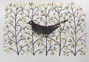 Summer Blackbird