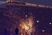 Last Train, Bonfire and Moths