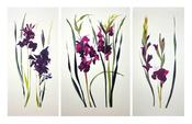 Summers' Dance (triptych)