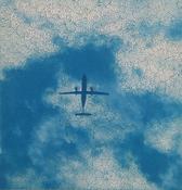Enjoy the Flight
