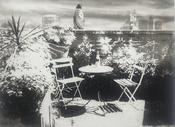 Normand Ackroyd, The Garden at Morocco Street