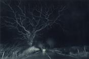 Quiet Road