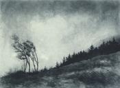 Whispers In The Wind