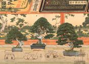 Eden Bonsai III: Trees That Grow