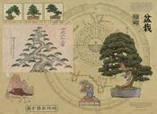 Eden Bonsai I: Timberline