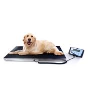 AIS-W 300kg Large Veterinary Scale image
