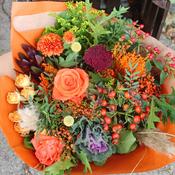 Suzie's Autumn Spirit