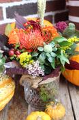 Hazel's Autumn Mini Lantern