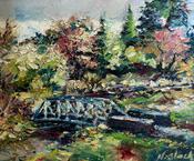 A Walk In The Botanic Gardens