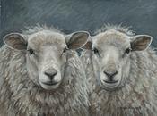 Woolie Friends (Irish Sheep)