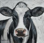 Black and White Cow (Irish Cow)
