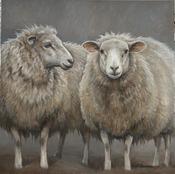 Woolie Friends 2 (Irish Sheep)