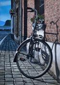 The Way Home