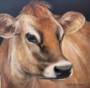Jersey Cow