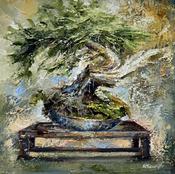 Bonsai Tree