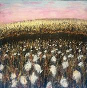 Peat Bank I. Bog Cotton. Slieve Elva.