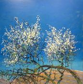 Blackthorn. Cregan’s Farm. Towards Crosby.