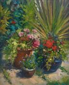 Flower Pots Of Colour