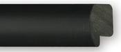 GW8006-01