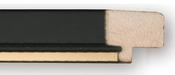 GW9101/2