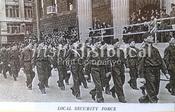 Local Security Force image