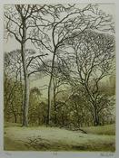 Oak