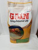 Gain greyhound 28 shop