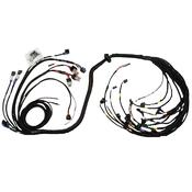 FT450/550 6 Cylinder Universal Terminated "A" Harness