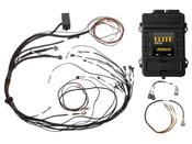 Elite 1500 + Mazda 13B S6-8 CAS with Flying Lead Ignition Terminated Harness Kit Injector Connector: Bosch EV1