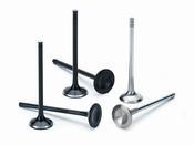 Supertech Valve Kit Exhaust Honda B16A/18C 28.00mm (Standard) Black Nitrided