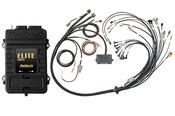 Elite 2500 + GM GEN IV LSx (LS2/LS3 etc) non DBW Terminated Harness Kit