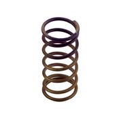 GenV Spring (5psi) Inner (Purple) Suit WG60 image