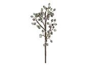 Decorative Seed Pod Branch