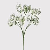 Gypsophilia White Spray