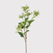 Viburnum Cream Spray
