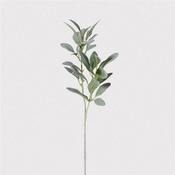 Natural Flocked Lamb's Ear Leaf Spray