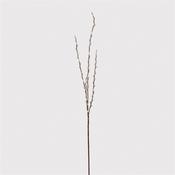 Natural Pussy Willow Spray