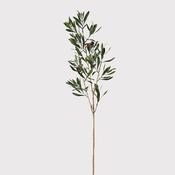 Natural Olive Spray image