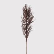 Dark Brown Dried Reed Spray