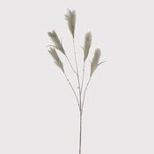 Grey Reed Grass Spray