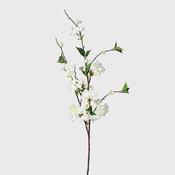 Off White Peach Blossom