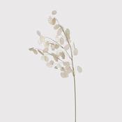 Clear Honesty Spray image