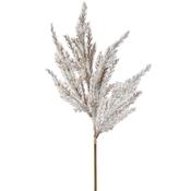 Light Brown Astilbe Stem image