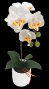 Artificial Bonsai Orchid Flower White 55cm