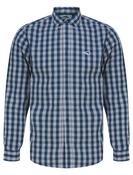 Le Shark Majolica Blue Check Shirt