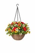 Artificial Hanging Basket Chrysanthemum 8" image
