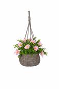 Artificial Hanging Basket Daisy 8"