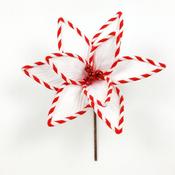 White Candy Cane Poinsettia