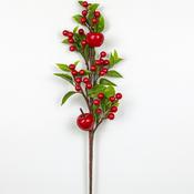 Red Apples &amp; Berry Pick