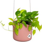 Elho Round Hanging Basket in Dusty Pink